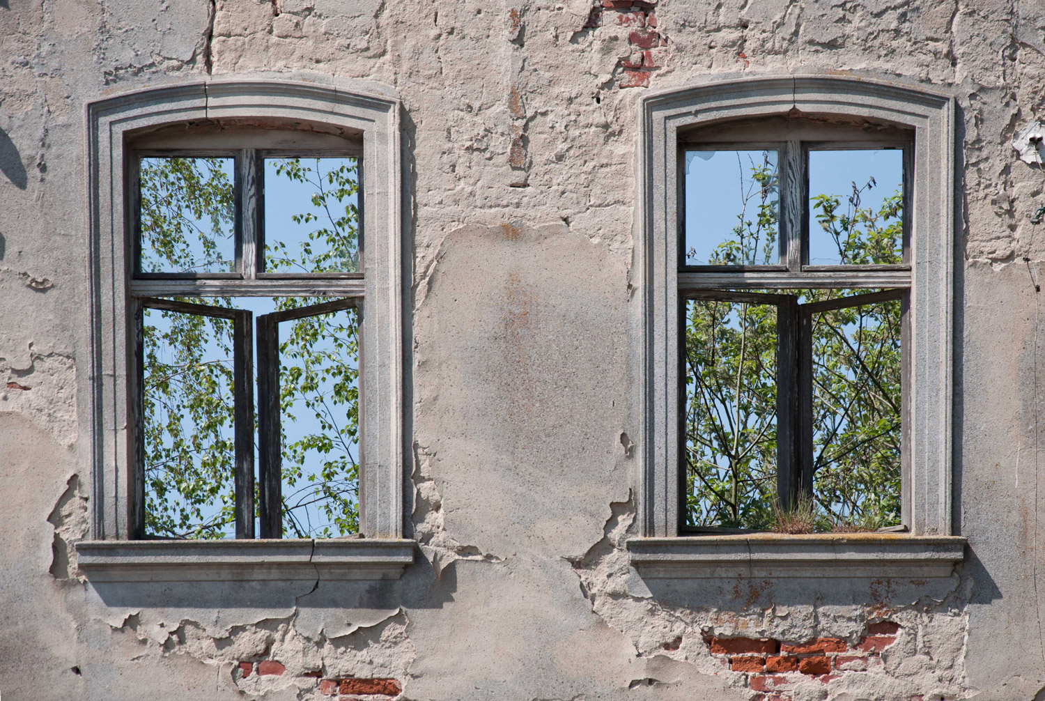 Fenster ins Grün